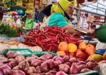 Harga Beras di Lampung Utara Sentuh Harga Tertinggi