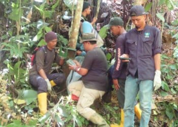 Kamera Pengintai Dipasang di Lokasi Warga Diterkam Harimau