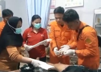 Kecelakaan Beruntun di Bakauheni Murni Akibat Rem Blong