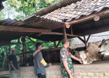 Pemerintah Provinsi Lampung lakukan perjanjian kerjasama antar daerah dengan Provinsi Bangka Belitung.