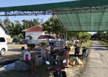 Terendam Banjir, Ribuan Hektare Sawah di Tulangbawang Terancam Puso