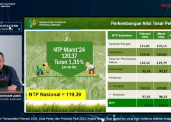 Kepala BPS Lampung, Atas Parlindungan Lubis, saat menyampaikan rilis melalui YouTube.