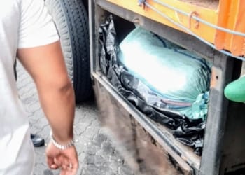 Balai Karantina Hewan, Ikan, dan Tumbuhan Lampung menyita ratusan kilogram daging celeng (babi hutan) asal Bengkulu. Komoditas itu dalam pengiriman ke Bekasi Utara, Jawa Barat.