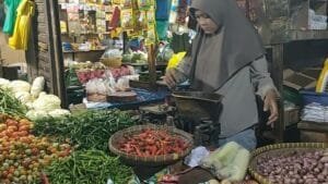 Harga Bawang dan Cabai di Lampung Tengah Turun 
