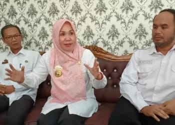 Kepala Dinas Lingkungan Hidup (DLH) Kota-Metro, Ardah