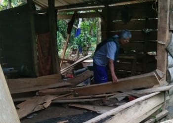 Kawanan gajah liar jebol dinding bangunan warga di Pekon Sukamarga, Kecamatan Suoh, Lampung Barat.