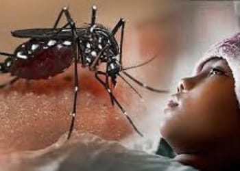 Orang meninggal akibat DBD. Nyamuk Aedes Aegypti pembawa virus DBD.