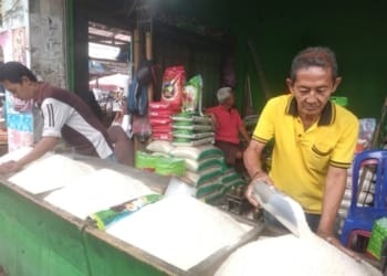 Harga Beras di Bandar Lampung Berangsur Turun