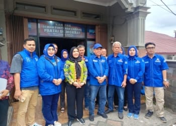 penjaringan demokrat