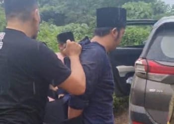 pelaku kdrt asal pringsewu