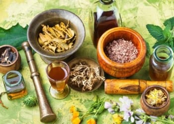 Tanaman herbal. Dok/media Indonesia