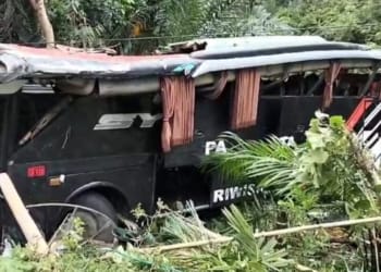 Satlantas Polres mengevakuasi dan mengidentifikasi kecelakaan tunggal bus pariwisata yang membawa peserta study tour MIN 1 Pesisir Barat, yang terperosok ke jurang saat sedang menuju Bandar Lampung. Dok Polres