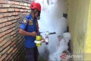 Damkar Lamsel Turun Tangan Cegah DBD