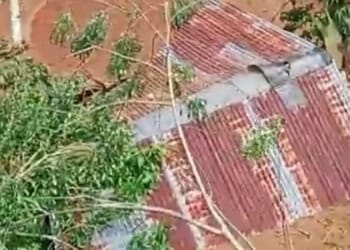 Satu Warga Hilang dalam Bencana Longsor Perkebunan Air Abang Ulu Belu