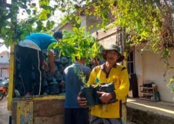 Kelompok tani hutan di Lampung memperlihatkan bantuan bibit tanaman multipurpose tree species. ANTARA/HO-Pemprov Lampung