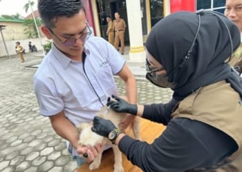 359 Hewan Peliharaan Divaksin di Hari Pertama