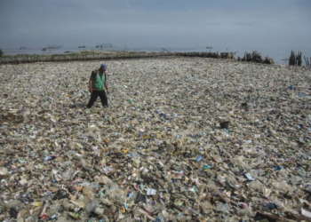 Ilustrasi pulau sampah di laut. (ANTARA FOTO/Aprillio Akbar)