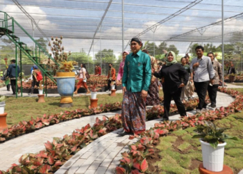 Mendes PDTT Abdul Halim Iskandar berjalan di antara tanaman Aglaonema di Aglaonema Park Sleman.(MI/Agus Utantoro)