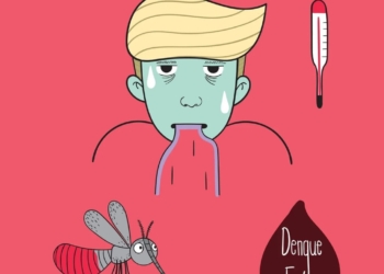 Jika Sudah Terkena DBD, Apakah Bisa Kena Lagi? Ini Penjelasannya