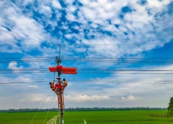 Petugas melakukan pemeliharaan jaringan kelistrikan. Dok PLN