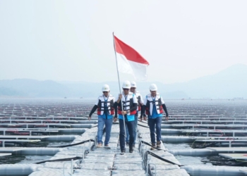 PLN Jadi Perusahaan Utilitas Terbaik Se-Kawasan Versi Fortune 500 Asia Tenggara