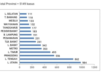 Grafik kasus DBD di Lampung periode Januari hingga Mei 2024. Dok.Dinkes