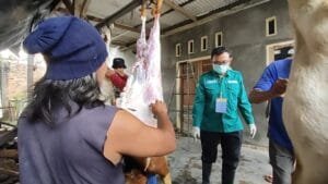 Dinas Bunakkan Lamteng Cek Hewan Kurban