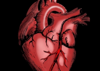 Parasit Cacing dalam Tubuh Bisa Sebabkan Kerusakan Jantung