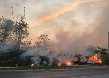 Kebakaran hutan dan lahan. Dok Lampost.co