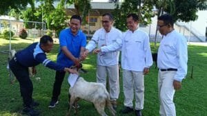 Nestle Bagikan 12 Hewan Kurban Kepada Masyarakat