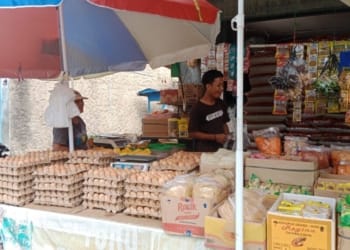 Pemerintah Kota (Pemkot) Bandar Lampung memastikan stok pangan di Kota Tapis Berseri aman di masa kampanye Pilkada serentak 2024.