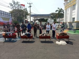 Inilah 29 Item Hasil Kejahatan yang Dimusnahkan Kejari Lamsel