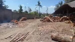 DLH Lampung Utara akan Tindaklanjuti Keluhan Keberadaan Usaha Pemotongan Kayu