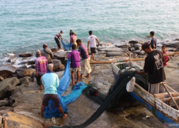 Suanasa puluhan nelayan pesisir Rajabasa Lampung Selatan saat menarik jaring payang. (Antara/Riadi Gunawan)