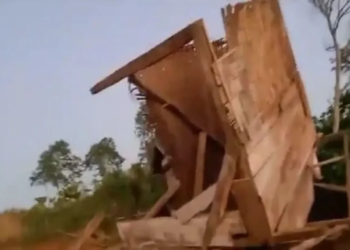 Rumah seorang warga bernama Suyit yang dihancurkan oleh kawanan gajah liar di kecamatan Suoh Kabupaten Lampung Barat Provinsi Lampung. Dok/Satgas Suoh