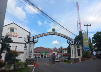 Aktivitas Panen Tebu dengan Cara Dibakar Dilaporkan ke Kejati Lampung