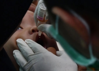 Vaksinasi di Gaza. Petugas kesehatan meneteskan vaksin polio pada mulut anak balita saat pelaksanaan Sub Pekan Imunisasi Nasional (Sub PIN) Polio di Kota Madiun, Jawa Timur. Dok/Antara
