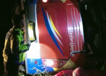 bus sriwijaya kecelakaan tunggal