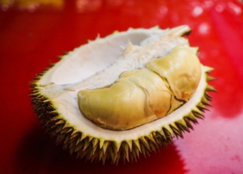 Ini Cara Menghilangkan Bau Durian di Tangan dan Mulut