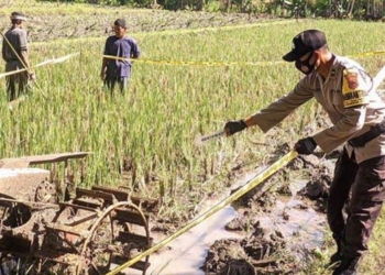 mesin bajak sawah