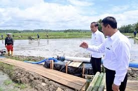 Presiden meninjau langsung lokasi penyaluran bantuan