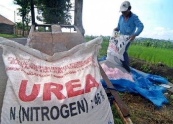 Penambahan Subsidi Pupuk Diharapkan Pacu Produktivitas Petani.