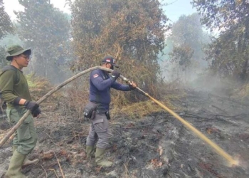Sebanyak 115 titik panas Karhutla terpantau di Sumatra, terbanyak di Riau. Dok/MI