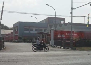 Kontribusi Perusahaan