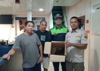 Petugas Balai Karantina menerima dan mengamankan kukang yang terbungkus dalam kardus dari anak buah kapal di Pelabuhan Bandar Bakau Jaya (BBJ) Kabupaten Lampung Selatan. Bandarlampung, Jumat, 16 Agustus 2024. Dok/Balai Karantina Lampung