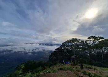 Ilustrasi Pengelolaan Lingkungan - Salah satu lokasi penghijauan lahan dan juga lokasi wisata alam di Kabupaten Lampung Barat. Dok/Antara