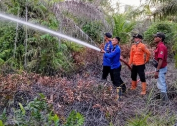 Kebakaran hutan dan lahan (karhutla) terjadi di perkebunan sawit milik perusahaan swasta yang beroperasi di Desa Sriwijaya (C2) Kecamatan Tanjung Raya, Mesuji. Dok BPBD Lampung