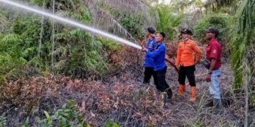 Kebakaran hutan dan lahan (karhutla) terjadi di perkebunan sawit milik perusahaan swasta yang beroperasi di Desa Sriwijaya (C2) Kecamatan Tanjung Raya, Mesuji. Dok BPBD Lampung