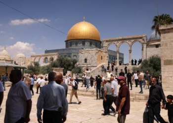 aktivitas di kompleks masjid al-aqsa