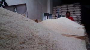 Jangan Tertipu! Ini Cara Membedakan Beras Asli, Palsu, dan Oplosan